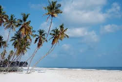 Оман, Салала