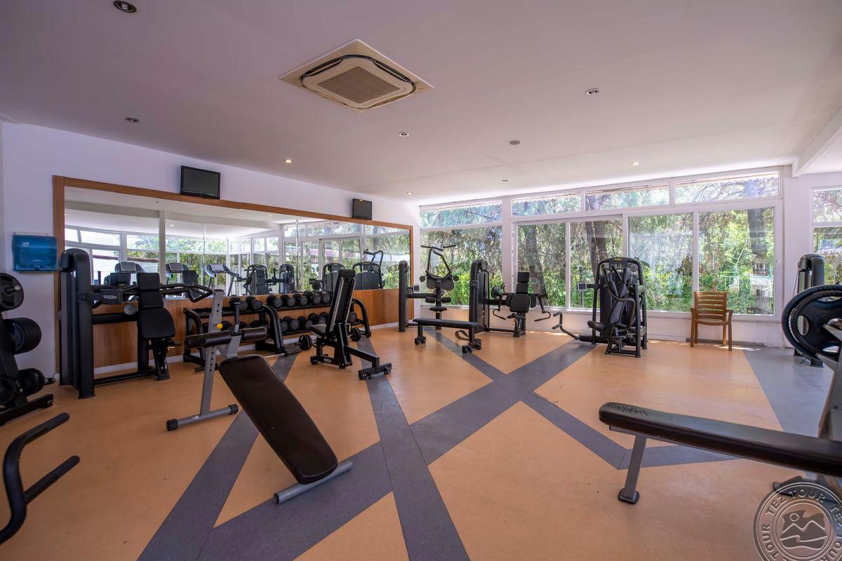 Euphoria palm resort. Euphoria Palm Beach Resort hv1. Маджестик Палм Бич Турция отель. Эйфория Палм Бич фото. Fun Sun Palm Beach Resort Турция пляж
